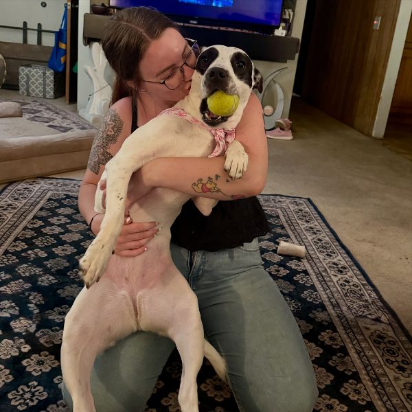 Alexis Hawley Alexis Hawley